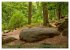 Das Felsenmeer - Natur pur im Odenwald... - Bild 12