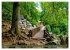 Das Felsenmeer - Natur pur im Odenwald... - Bild 13