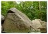 Das Felsenmeer - Natur pur im Odenwald... - Bild 3