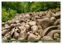 Das Felsenmeer - Natur pur im Odenwald... - Bild 4