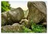 Das Felsenmeer - Natur pur im Odenwald... - Bild 6