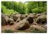 Das Felsenmeer - Natur pur im Odenwald... - Bild 8