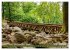 Das Felsenmeer - Natur pur im Odenwald... - Bild 9