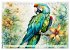 Papageien - Fliegende Edelsteine... - Bild 15