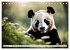 Großer Pandabär (Tischkalender 2026... - Bild 7