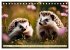 Igel - Wildtier des Jahres 2024... - Bild 13