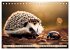Igel - Wildtier des Jahres 2024... - Bild 4