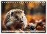 Igel - Wildtier des Jahres 2024... - Bild 5