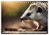 Igel - Wildtier des Jahres 2024... - Bild 8