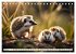 Igel - Wildtier des Jahres 2024... - Bild 9