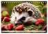 Igel - Wildtier des Jahres 2024... - Bild 10