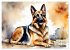 Deutsche Schäferhunde - Klassiker rund... - Bild 15