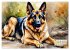Deutsche Schäferhunde - Klassiker rund... - Bild 5
