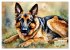 Deutsche Schäferhunde - Klassiker rund... - Bild 10