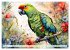Papageien - Fliegende Edelsteine... - Bild 12