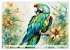 Papageien - Fliegende Edelsteine... - Bild 14