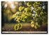 Waldbaden - Shinrin Yoku (hochwertiger... - Bild 12