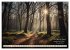 Waldbaden - Shinrin Yoku (hochwertiger... - Bild 14