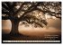 Waldbaden - Shinrin Yoku (hochwertiger... - Bild 6