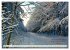 Waldbaden - Shinrin Yoku (hochwertiger... - Bild 7
