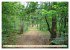 Waldbaden - Shinrin Yoku (hochwertiger... - Bild 8
