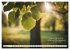 Waldbaden - Shinrin Yoku (hochwertiger... - Bild 9