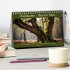 Waldbaden - Shinrin Yoku (Tischkalender... - Bild 2