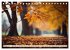 Waldbaden - Shinrin Yoku (Tischkalender... - Bild 3
