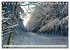 Waldbaden - Shinrin Yoku (Tischkalender... - Bild 8