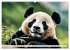 Großer Pandabär (hochwertiger Premium... - Bild 3