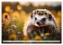 Igel - Wildtier des Jahres 2024... - Bild 2