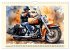 Sehnsucht Motorradfahren (Wandkalender... - Bild 4