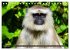 Tiere Indiens close up (Tischkalender... - Bild 3