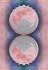 Lunar Magic Orakel - 40... - Bild 8