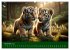 Majestätische Tiger (Wandkalender 2026... - Bild 4