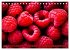 ROT - Gemüse und Obst - Voller Power... - Bild 14