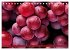 ROT - Gemüse und Obst - Voller Power... - Bild 5