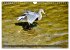 Unter Reihern (Wandkalender 2026 DIN A4... - Bild 15