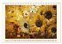 Mosaike (Tischkalender 2026 DIN A5... - Bild 13