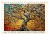 Mosaike (Tischkalender 2026 DIN A5... - Bild 8