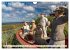 Deutschland - Insel Sylt (Wandkalender... - Bild 3