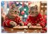 Katzen-Alltag - Ein witziges Jahr mit... - Bild 5
