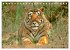 Tiger: Gestreifte Jäger (Tischkalender... - Bild 14
