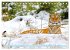 Tiger: Gestreifte Jäger (Tischkalender... - Bild 5
