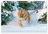 Tiger: Gestreifte Jäger (Tischkalender... - Bild 7