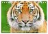 Tiger: Gestreifte Jäger (Tischkalender... - Bild 9