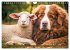 Bauernhof-Freunde - Hunde und ihre... - Bild 11
