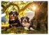 Bauernhof-Freunde - Hunde und ihre... - Bild 12