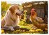 Bauernhof-Freunde - Hunde und ihre... - Bild 3