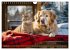 Bauernhof-Freunde - Hunde und ihre... - Bild 7